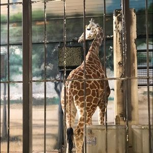 Meet your Posher, An